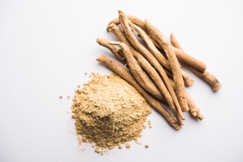 Ashwagandha: l’erba ayurvedica per la gestione dello stress