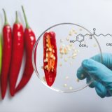 capsaicina