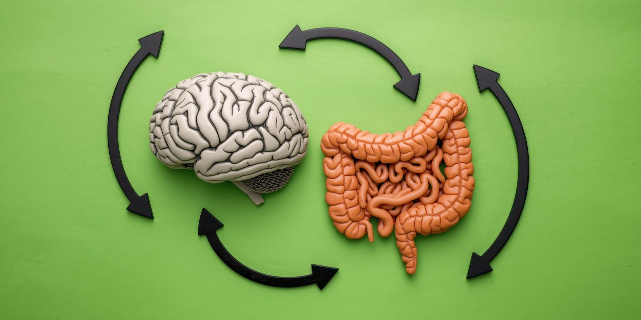 Asse intestino-cervello: perché intestino e mente sono così collegati