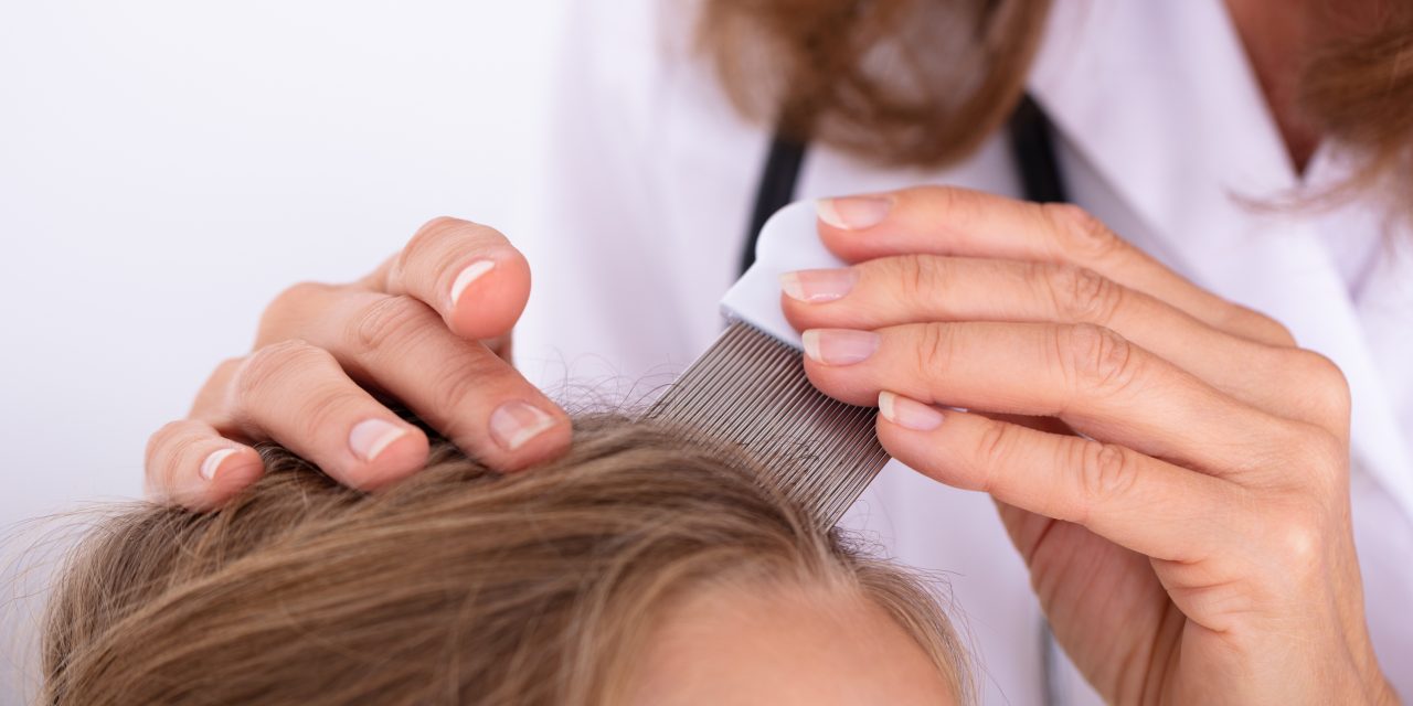 Pidocchi nei bambini: errori comuni durante il trattamento